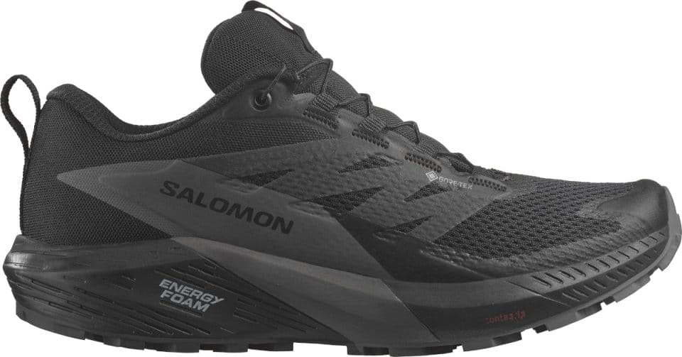 Zapatillas para trail Salomon SENSE RIDE 5 GTX W